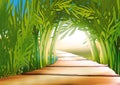 Bamboo grove Royalty Free Stock Photo