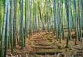 Bamboo Grove in Adashino Nenbutsu-ji Temple Royalty Free Stock Photo