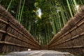 Bamboo Grove in Adashino Nenbutsu-ji Temple, Tokyo Royalty Free Stock Photo