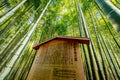 Bamboo Grove in Adashino Nenbutsu-ji Temple, Tokyo Royalty Free Stock Photo