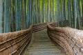 Bamboo Grove at Adashino Nenbutsuji Temple in Kyoto, Japan