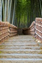 Bamboo Grove at Adashino Nenbutsuji Temple in Kyoto, Japan