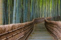 Bamboo Grove at Adashino Nenbutsuji Temple in Kyoto, Japan