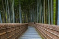 Bamboo Grove at Adashino Nenbutsuji Temple in Kyoto, Japan