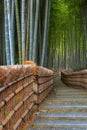 Bamboo Grove at Adashino Nenbutsuji Temple in Kyoto, Japan