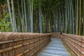 Bamboo Grove at Adashino Nenbutsuji Temple in Kyoto, Japan