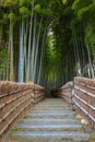 Bamboo Grove at Adashino Nenbutsuji Temple in Kyoto, Japan