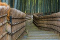 Bamboo Grove at Adashino Nenbutsuji Temple in Kyoto, Japan