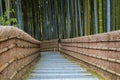 Bamboo Grove at Adashino Nenbutsuji Temple in Kyoto, Japan