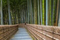 Bamboo Grove at Adashino Nenbutsuji Temple in Kyoto, Japan