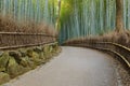 Bamboo Grove at Arashiyama in Kyoto Royalty Free Stock Photo