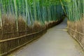 Bamboo Grove at Arashiyama in Kyoto Royalty Free Stock Photo