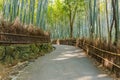 Bamboo Grove at Arashiyama in Kyoto Royalty Free Stock Photo