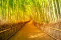 Bamboo grove Arashiyama