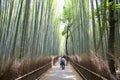 Bamboo grove, bamboo forest at Arashiyama, Kyoto, Japan