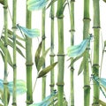 Bamboo grove with stems and leaves, with dragonflies. Oriental style, watercolor, seamless pattern. For decoration and