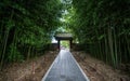 Bamboo grove and traditional gate at Gyeonggijeon Shrine in Jeon