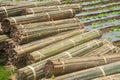 bamboo that has been split into several parts and tied.  commonly used by farmers as a fence or as a support poles for plants. Royalty Free Stock Photo
