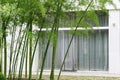 Bamboo and house