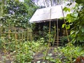 Bamboo house at Eden