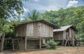 Bamboo house in the jungle. Royalty Free Stock Photo