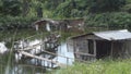 Bamboo Bridge over Fish Pond