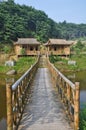 Bamboo hut near water
