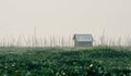 Bamboo hut on Taunggyi floating vegetable gardens of Inle lake, Myanmar Royalty Free Stock Photo