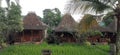 bamboo huts among rice fields Royalty Free Stock Photo