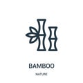 bamboo icon vector from nature collection. Thin line bamboo outline icon vector illustration. Linear symbol for use on web and
