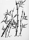 Bamboo tree painting Royalty Free Stock Photo