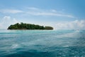 Bamboo island in a sunshine day