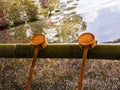 Bamboo jug Japan tradition.