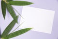 Bamboo Leaf with blank white card Royalty Free Stock Photo