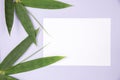 Bamboo Leaf with blank white card Royalty Free Stock Photo