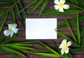 Bamboo leaf frame on rustic wooden background. Blank paper card in bamboo leaf and frangipani flower. Royalty Free Stock Photo