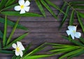 Bamboo leaf frame on rustic wooden background. Bamboo leaf and frangipani flower on timber. Royalty Free Stock Photo