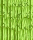 Bamboo with leaf illustration. Asian bambu zen plants background Royalty Free Stock Photo