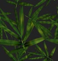 Bamboo leaf pattern