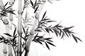 Bamboo leaf Royalty Free Stock Photo