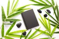 Bamboo leaf zen background. Black paper notebook mockup. Green bamboo leaf and beach pebbles flat lay. Royalty Free Stock Photo