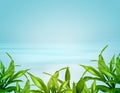 Bamboo leafs over blue background Royalty Free Stock Photo