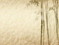 Bamboo leaves on old grunge antique paper Royalty Free Stock Photo