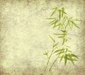 Bamboo leaves on old grunge background Royalty Free Stock Photo