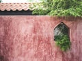 Bamboo leaves on red bare concrete wall texture background Royalty Free Stock Photo