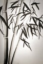 Bamboo leaves Royalty Free Stock Photo