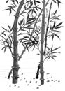 Sumi Bamboo forest painting Royalty Free Stock Photo