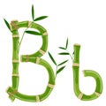 Bamboo letter B