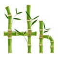Bamboo letter H