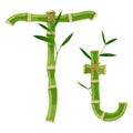Bamboo letter T